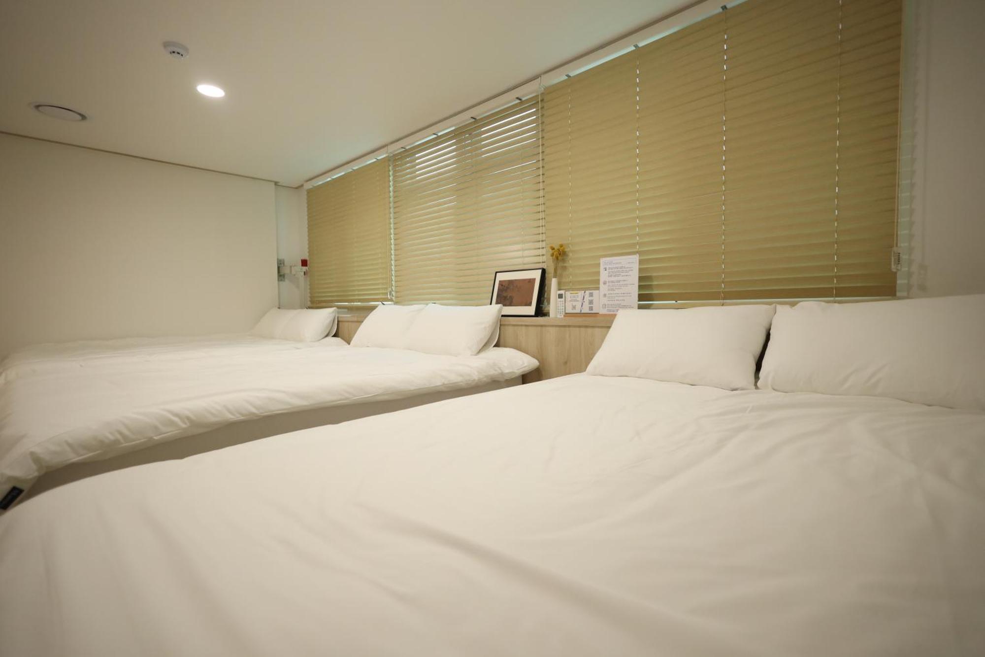 Albergue Manso In Ddp *