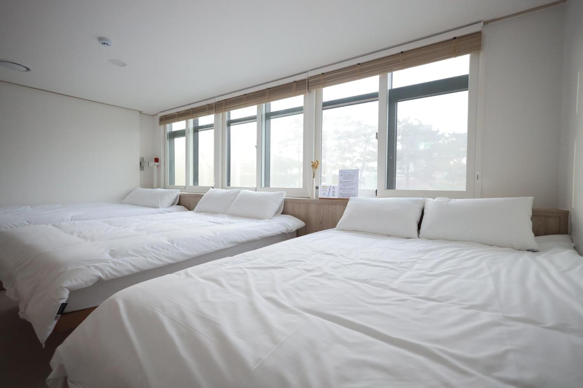 Albergue Manso In Ddp *