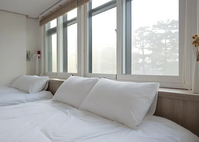 Manso Hostel In Ddp